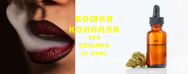мдпв Лихославль