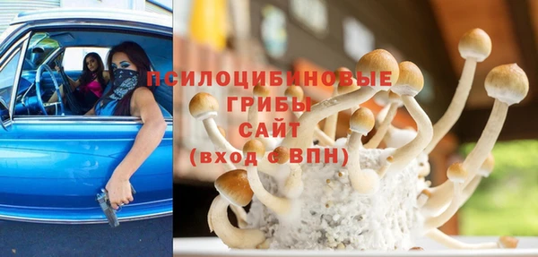 тгк Липки