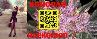стаф Малоярославец