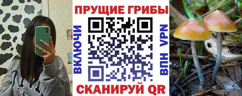 Галлюциногенные грибы MAGIC MUSHROOMS  Фрязино 